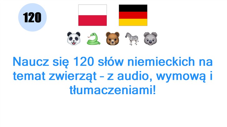 Naucz się 120 słów niemieckich na temat zwierząt – z audio, wymową i tłumaczeniami!